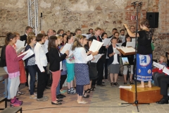 CELC_2017-6105